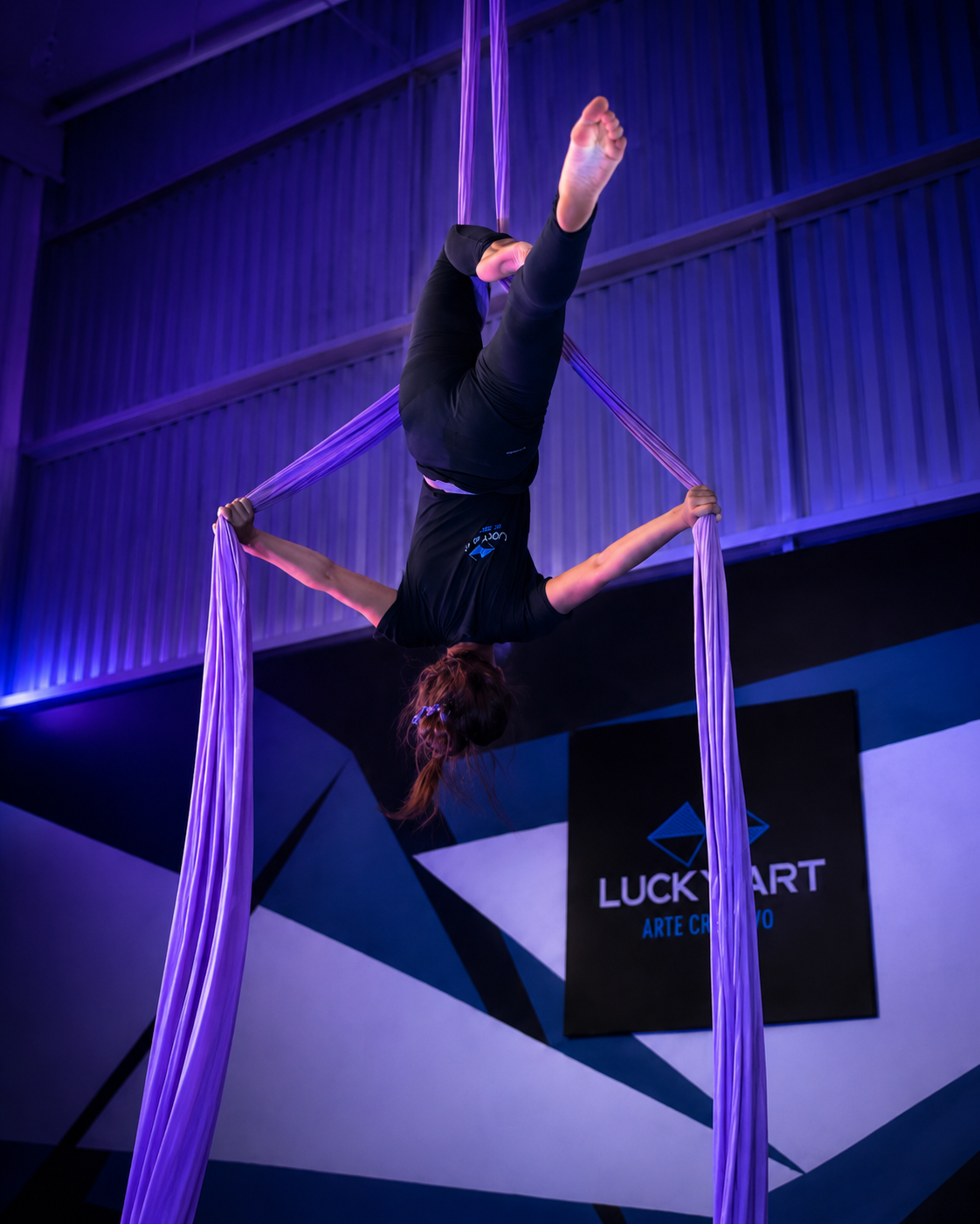Danza aérea en telas